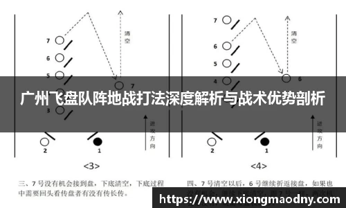 广州飞盘队阵地战打法深度解析与战术优势剖析
